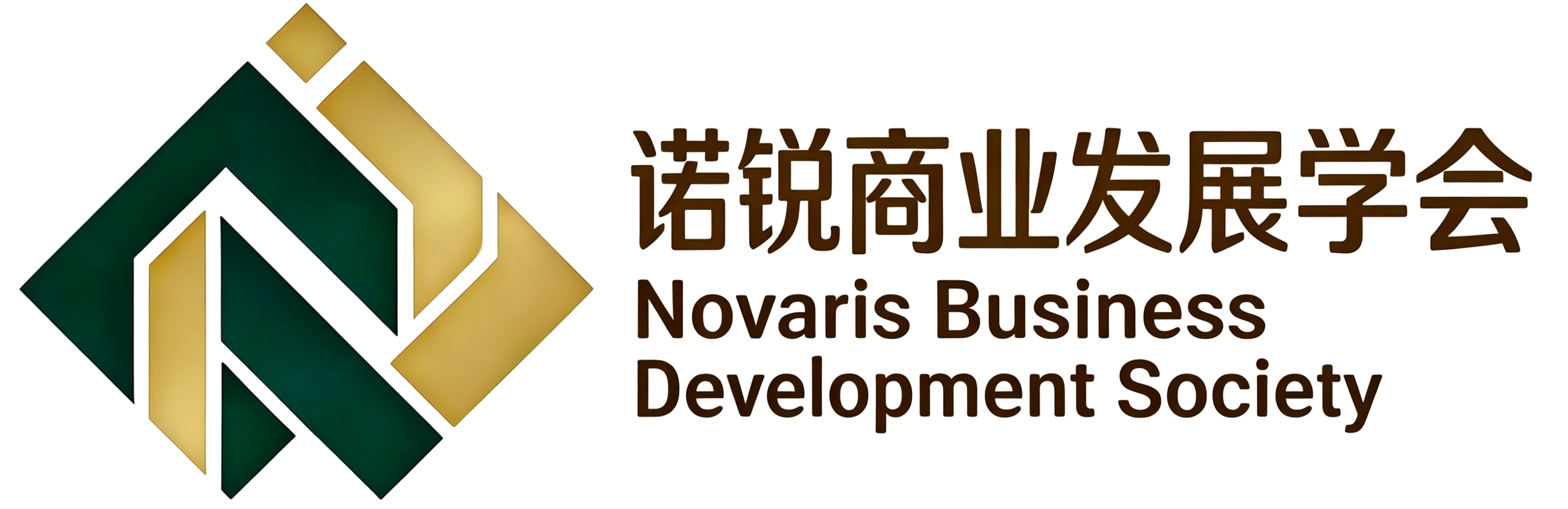 NBDS Logo